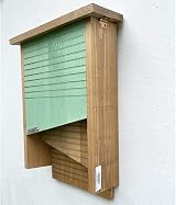 Green Feathers Wooden Bat Box Pine Double Chamber Hanging Outdoor Wall Tree view 4