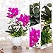 YILIYAJIA Artificial Flowers Orchids Table Decor Faux Flowers Arrangement with Vase Rustic Shelves Centerpieces Floral Decorations Realistic Phalaenopsis for Home Office Hotel Room