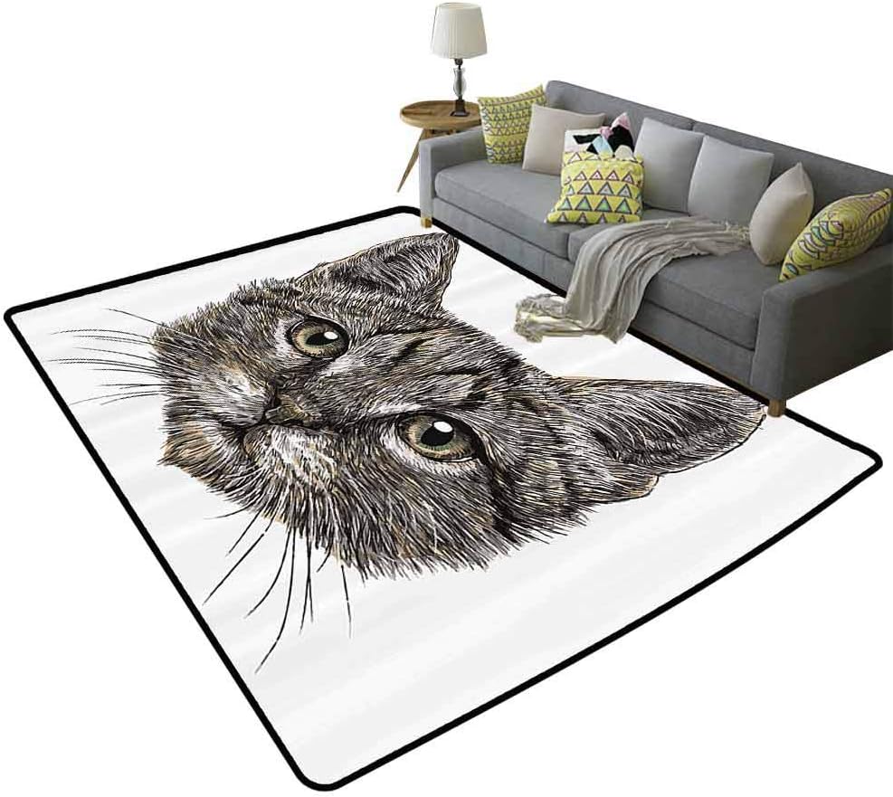 Animal Decor Throw Rug, Cute Little Chubby Cat Looking