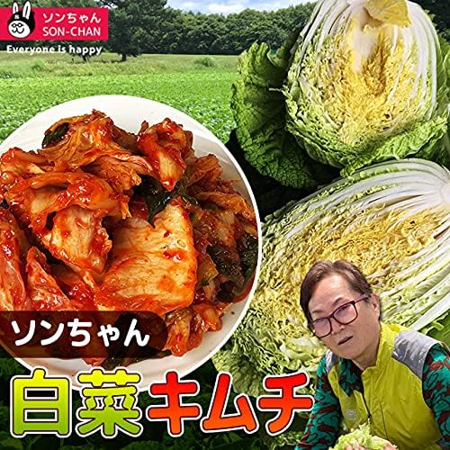 Amazon 長野 山梨県産 国産 白菜キムチ3kg キムチ 秋冬春 常温発送 韓美食 韓国食品 韓国食材 韓国キムチ 白菜キムチ キムチ 美味しいキムチ 国産 白菜キムチ ソンちゃん キムチ 通販