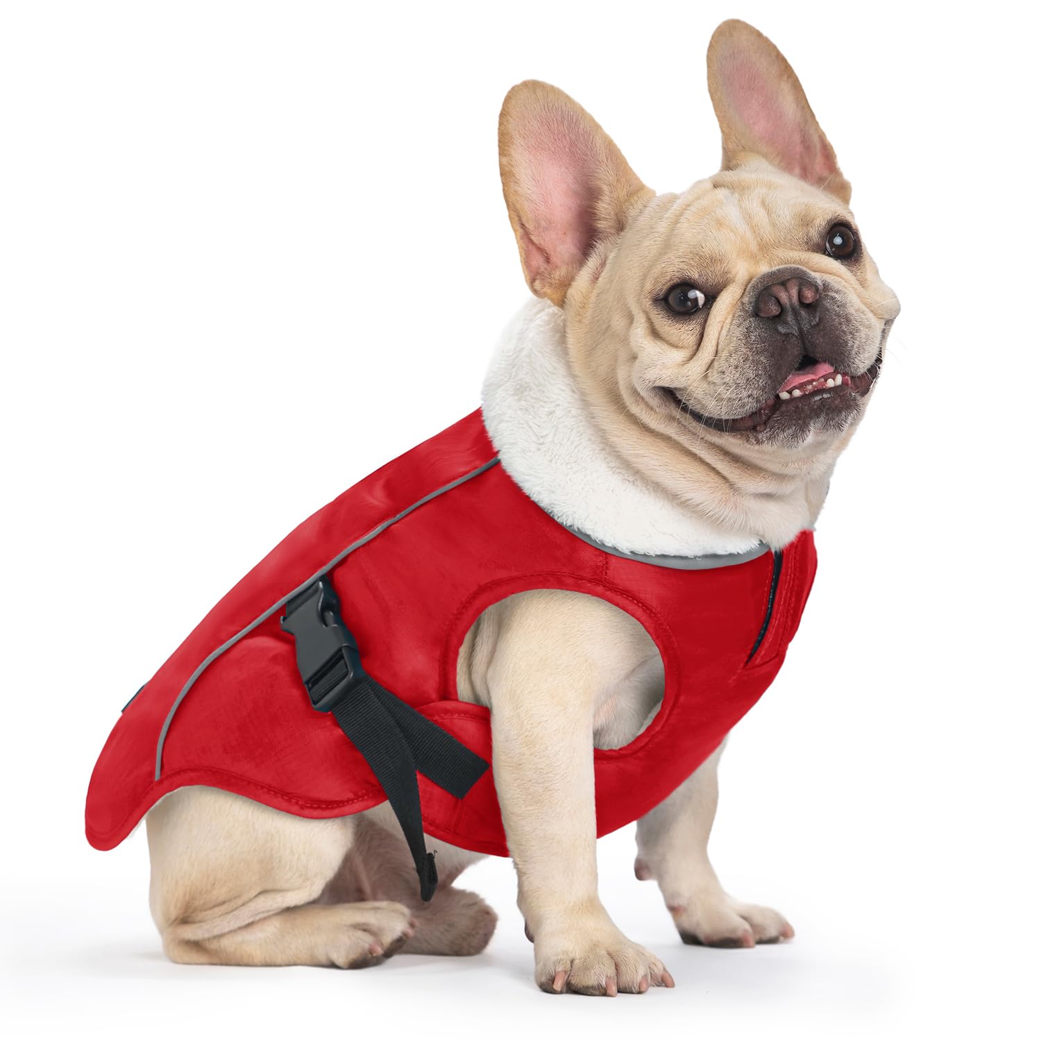 EMUST Winter Dog Jacket, Windproof Dog Apparel for Cold Weather, Reflective Winter Coats for Dogs, Warm Puppy Jacket for Cold Winter, Red S