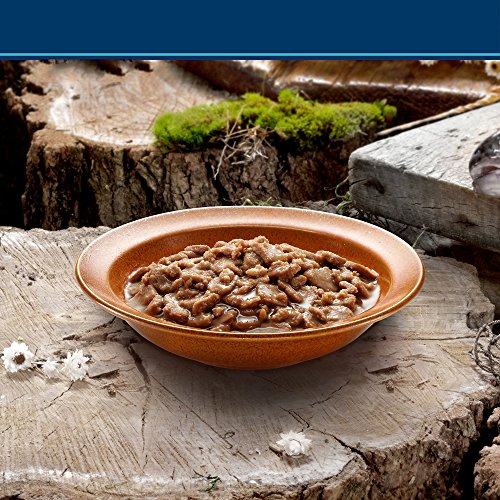 blue wilderness wild delights