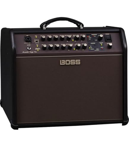 Amazon.com: BOSS Acoustic Singer Live LT Guitar Amp : Musical
