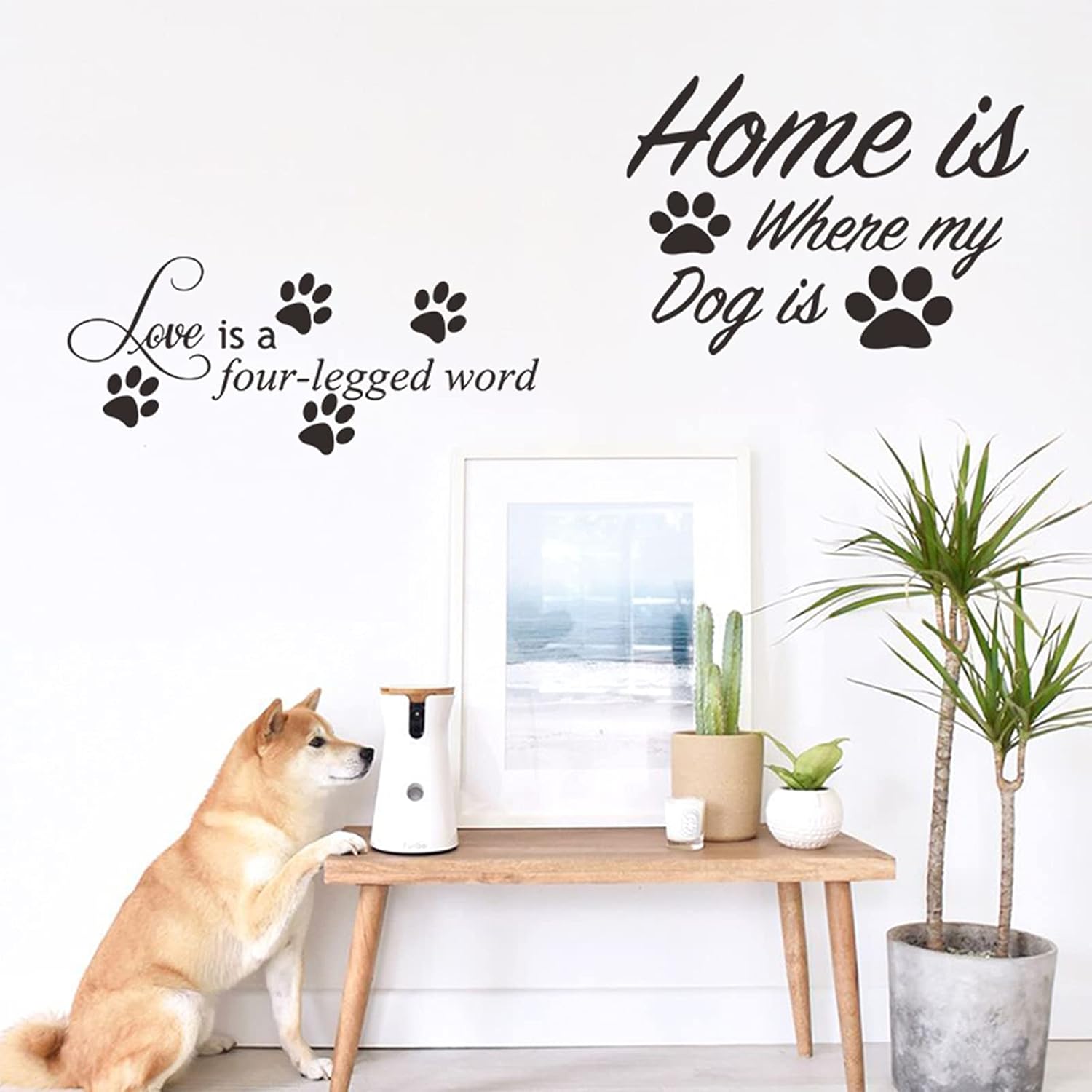 Dog Decor Stickers, Wall Stickers for Dogs Quotes Word Decals of Love is a Four Legged and Home is Where My Dog is for Dog Wall Decor.(2 Sheets)