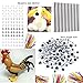 Magic Balloons Kits, 300Pack Animal Ballooons Latex Modeling Twisting Balloons Long Balloons For Animal Shape Party Decoration(With Pump& Eye Sticker&Wiggle Eyes)