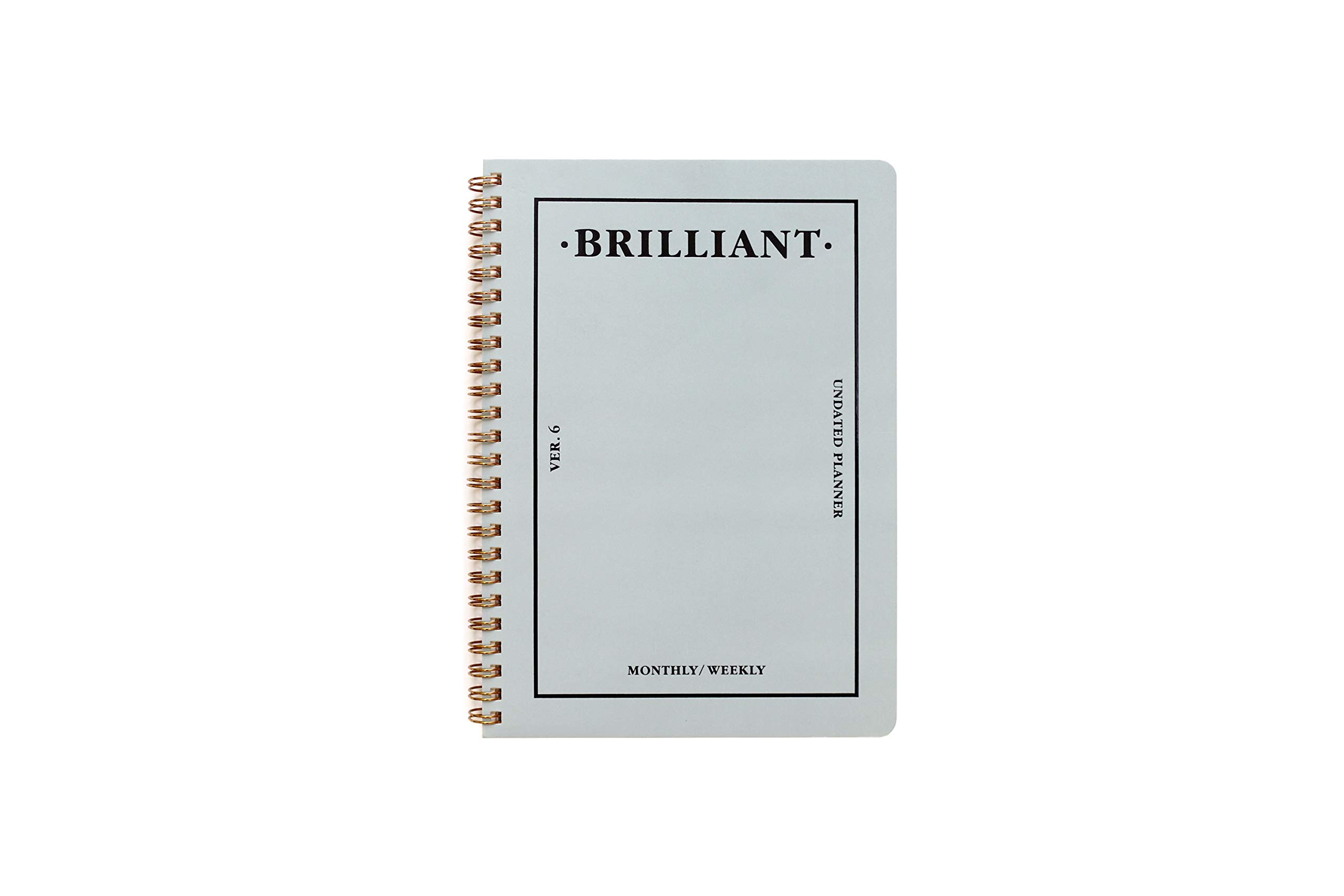 PAPERIAN Brilliant Monthly & Weekly Planner - Wirebound Undated Monthly &Weekly Planner Book Scheduler Diary (Grey Sky)