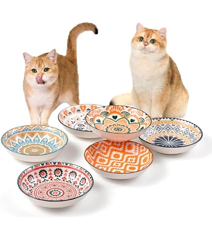 6PCS Ceramic Cat Bowls - 5.5 Inch Shallow Dish For Whisker Fatigue, Cute Heart & Paw Print, Non-Slip, White - View #4
