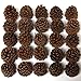 Natural Ponderosa Pine Cones Accent Decorations 3 to 4
