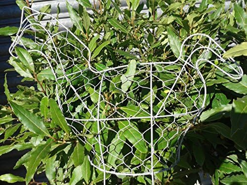 Westwoods Larchwood Hill D31768/E Horse Topiary Frame