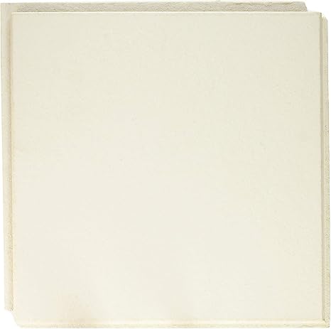 Amazon Com Ceiling Tile 1x1 By Usg Mfrpartno 824290 Home Kitchen
