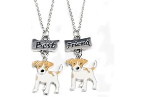 Mummumi Best Friend Necklaces, Friendship Lovely Pet Dogs Pendant Fashion Dogs Set Metal Necklace for Valentine's Day Present Birthday Christmas(Pug,Tidy,Bichon Frise,Schnauzer,Husky)