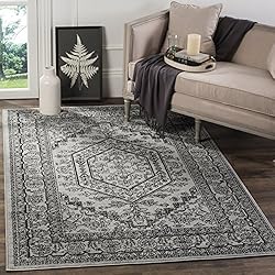 SAFAVIEH Adirondack Collection Area Rug