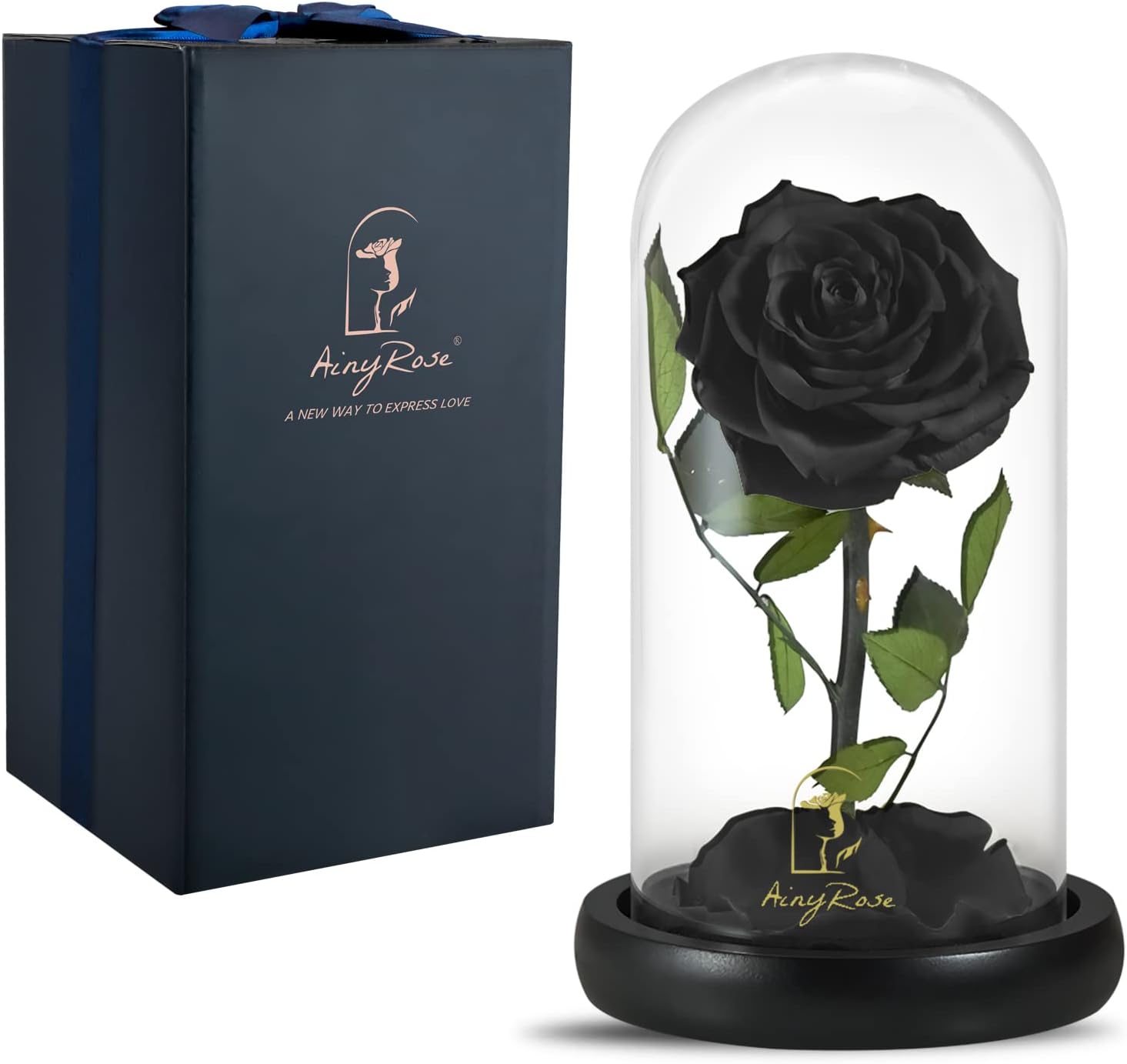 Dried & Preserved Flora - SW Forever Preserved Real Black Rose Flower Birthday Gifts for Women,Valentines Gifts Black Eternal Flower in Glass Gifts for Valentine's Day Mothers Day Christmas Anniversary Birthday (Black)