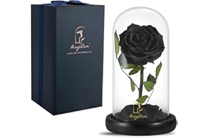 SW Forever Preserved Real Black Rose Flower Birthday Gift for Mom Women,Valentines Eternal Flower in Glass Gifts for Mothers Day Christmas Anniversary Birthday (Black)