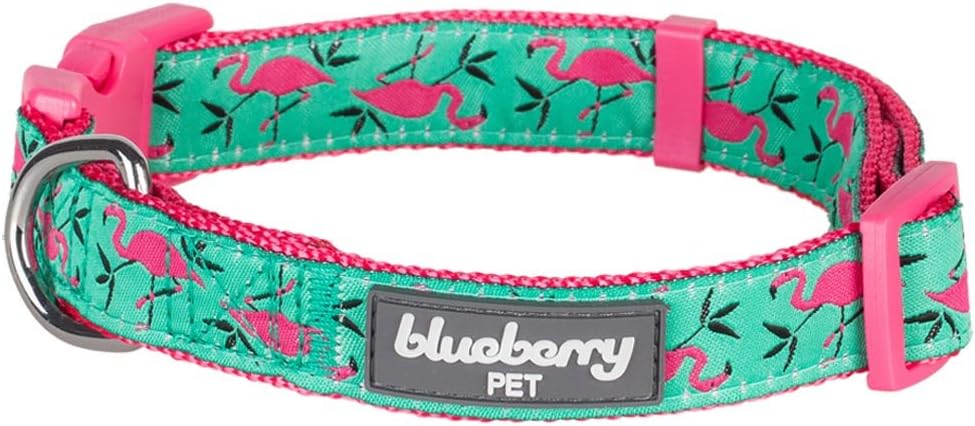 amazon blueberry dog collar