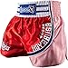 Hayabusa Lion Warrior Muay Thai Shorts