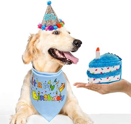 Dog birthday bandana and hat Clearance