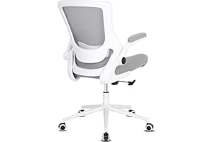 Misolant Desk Chair, Mesh Office Chair, Ergo Chair, Ergonomic Office Chair with Adjustable Lumbar Support and Height, Office Desk Chair 360°Swivel Office Chair (Light Gray)