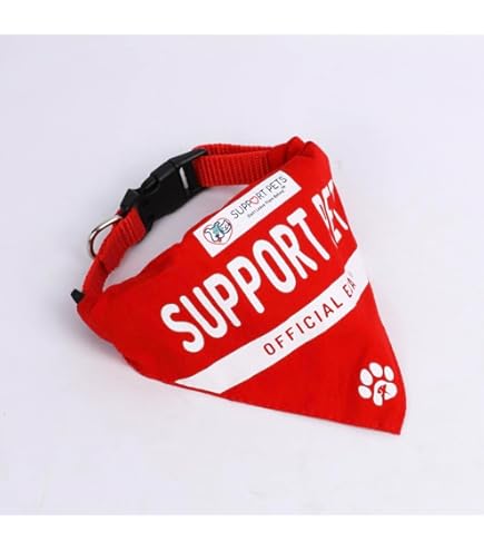 thumbnail image 2 of Sale Dogs Trust Bandana Clearance A Dog Is For Life Bandana Dog Bandana With Paw 2 of 10