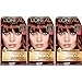 L'Oréal Paris Superior Preference Fade-Defying + Shine Permanent Hair Color, 6AB Chic Auburn Brown (3 Count) Hair Dye