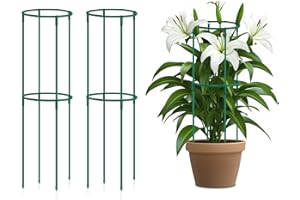 Small Tomato Cage 2 Pack,SupKing Adjustable Plant Trellis Plastic Potted Support Ring Stakes for Indoors Garden Climbing Vines Peony Cucumber,Comes 20 Twist Ties