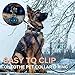 Bemix Pets Cat Collar Bells, 24-Pack, Dog Collar Bells, Loud Or Soft, Pet Bells for Potty Training, Colors (Red, Blue, Orange, Green, Pink, Purple) Matching Collars