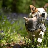 Petface Cyril The Squirrel Plush Dog Toy with Built-In Squeaker view 4