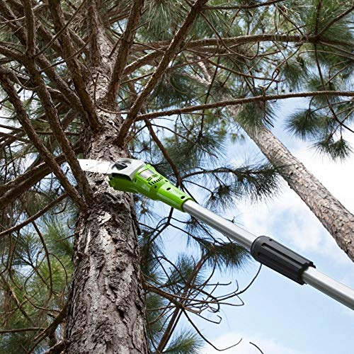 Greenworks Tools Akku-Hochentaster (Li-Ion 40V 20cm Schwertlänge 8 m/s Kettengeschwindigkeit Teleskop-Alustange 3-teilig… – Bild 5