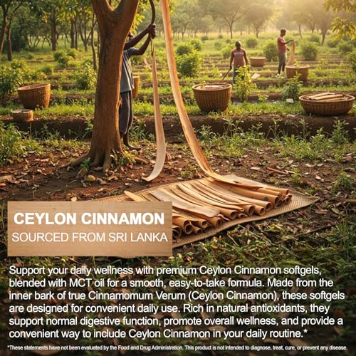 Ceylon Cinnamon Capsules 300 Pcs with MCT Oil, High Bioavailability for Anti-Oxidant, Overall Vitality & Digestive & Metabolic Support, Health Management