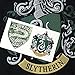 PopFunk Classic Harry Potter Slytherin Logo Teen Juniors Womens Premium Cotton Cap Sleeve Graphic T-Shirt & Stickers (Small)