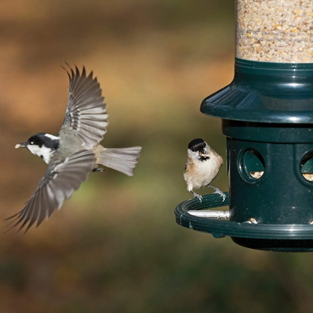 Squirrel Buster Plus Squirrel-proof Bird Feeder w/Cardinal Ring and 6 Feeding Ports, 5.1-pound Seed Capacity, Adjustable, Pole-mountable (POLE ADAPTOR SOLD SEPARATELY), Green : Garden & Outdoor