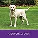 Wellness 95% Lamb Natural Wet Grain Free Canned Dog Food, 13.2-Ounce Can (Pack of 12)