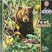 MasterPieces Peek Season Berry Bear Jigsaw Puzzle, Art by Dona Gelsinger, 1000-Piece