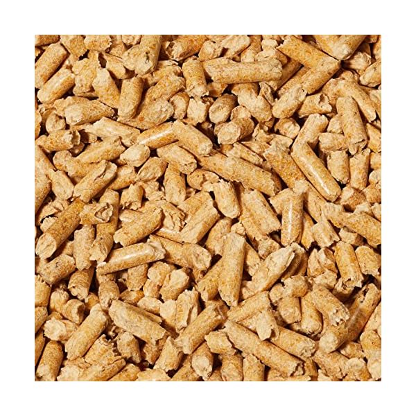 Amazon Basics Cat Litter Wood Pellets Highly Absorbent and Made of 100% Recycled Wood, 30L-Pack