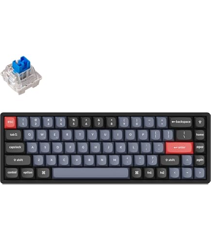 Amazon.com: Keychron K6 Mechanical Keyboard 65% Compact 68 Key