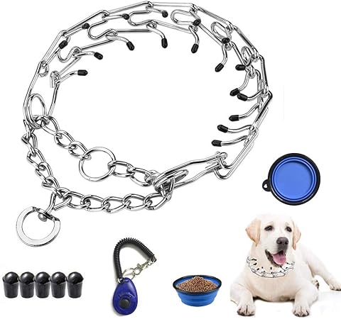 pinch collar amazon