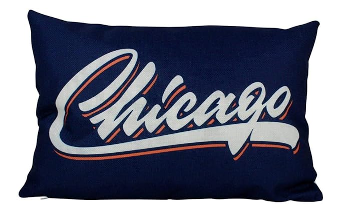 Amazon Com Celycasy Chicago Illinois Pillow Chicago Travel Pillow