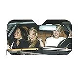 Funny Windshield Sun Shade for Car Sunshade for Car