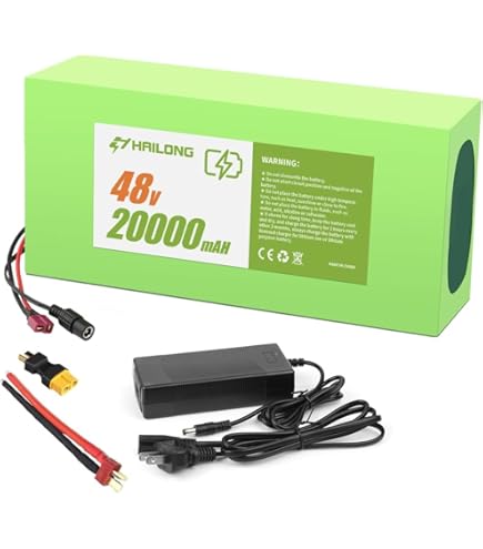 Amazon.com: 48v Ebike Battery