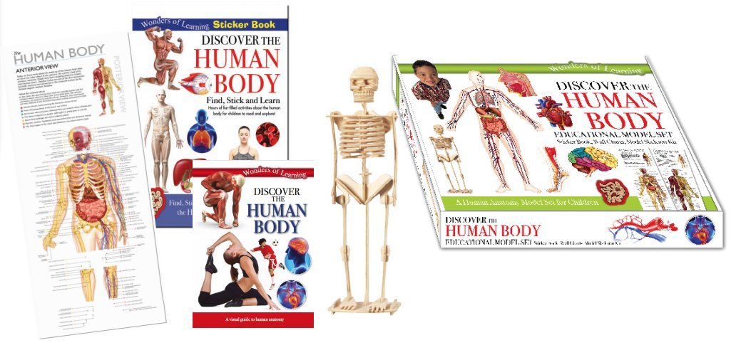 Robert Frederick Discover The Human Body Educational Model Set