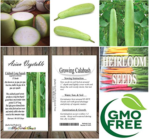 8 x Asian Vegetable Seeds Combo - Bitter Melon, Calabash, Kai LAN, Choy Sum, Luffa, Michihili, Tat SOI, Winter Melon - by MySeeds.Co - Thumbnail 2