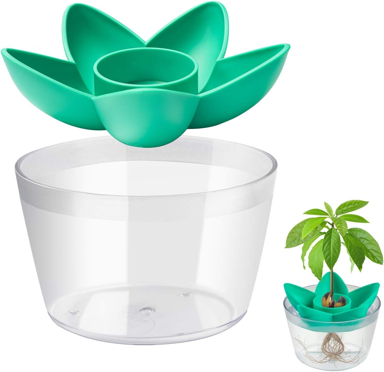 muscccm Avocado Seed Planting Growing Kit Avocado Planting Seed Starter Tray with Plant Holder,Cool Gifts Garden Gifts for Women Kids(Without Seeds)