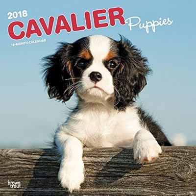 2018 Cavalier King Charles Spaniel Puppies Wall Sweden Ubuy