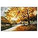 Wieco Art Giclee Canvas Prints Wall Art by Oil Paintings Reproduction Large Contemporary Autumn Trees Pictures for Living Room Bedroom Home Decorations Modern Wrapped Landscape Forest Artwork