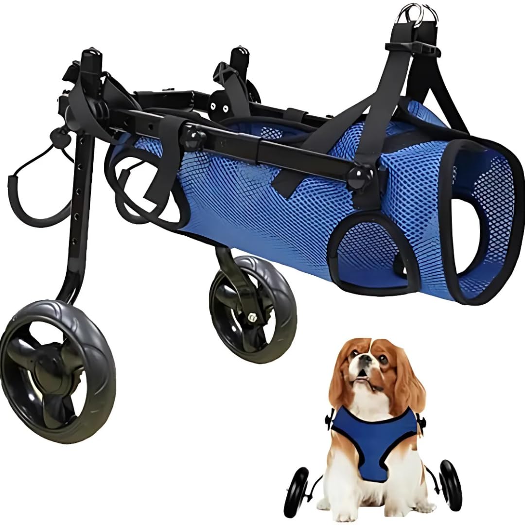 Photo 1 of Adjustable Small Dog Wheelchair for Back Legs – Lightweight Mobility Aid with Leg Brace & Hip Support – Ideal for Injured, Disabled, or Elderly Pets