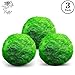 Luffy Pet Plant for All Ages - 3 (0.5”) Nano Marimo Moss Balls - Friendly, Compact & Low Maintenance Aquatic Pet - Lifelong Friend - Ideal for children or adults with busy schedule or little space