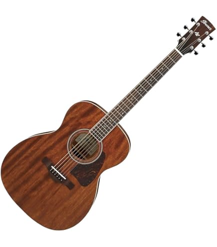 アコースティックギター list-nt-s3-2024-vnt.jpg