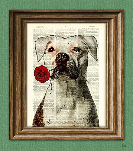 Pitbull Art Print"Rosie the Lover" White Pit Bull With Flower Illustration Beautifully Upcycled Dictionary Page Book Art Print