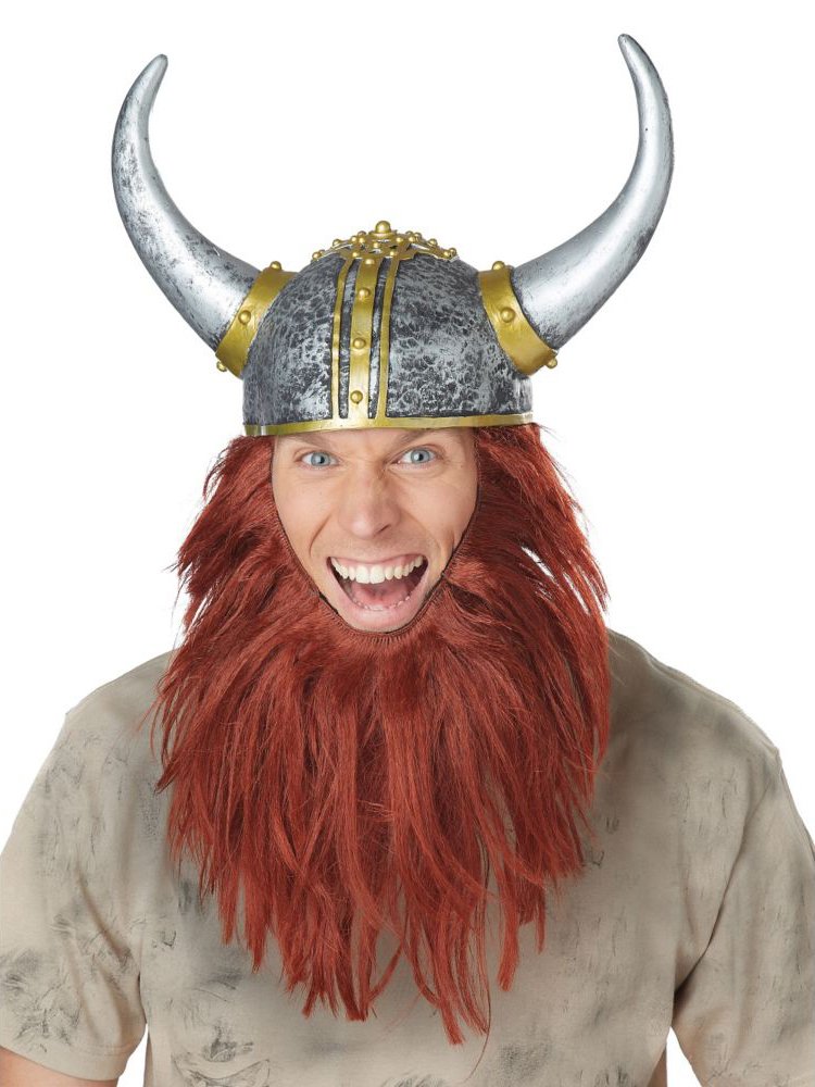 California Costumes Men's Viking Getup, Silver/Auburn, One size