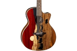 Luna Guitars Vista Bear 4 String Acoustic/Electric Bass with Case, Right (VISTABEARBASS)
